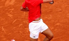 开云体育-戴维斯杯横扫法网，德约科维奇高光表现的简单介绍