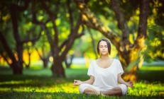 开云官网-灰熊之爪与保罗之影，两项运动的唯一性时刻