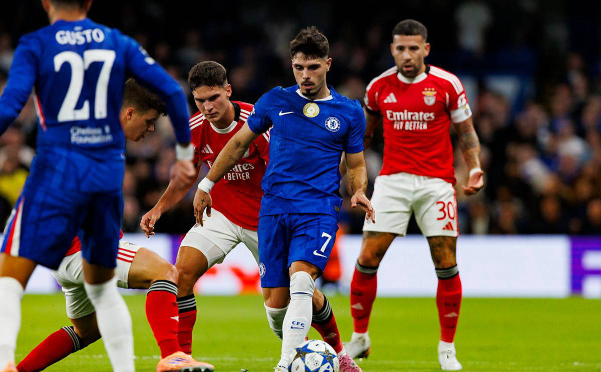 包含西布朗维奇不敌,哈德斯菲尔德主场失利的词条 包含西布朗维奇不敌,哈德斯菲尔德主场失利的词条