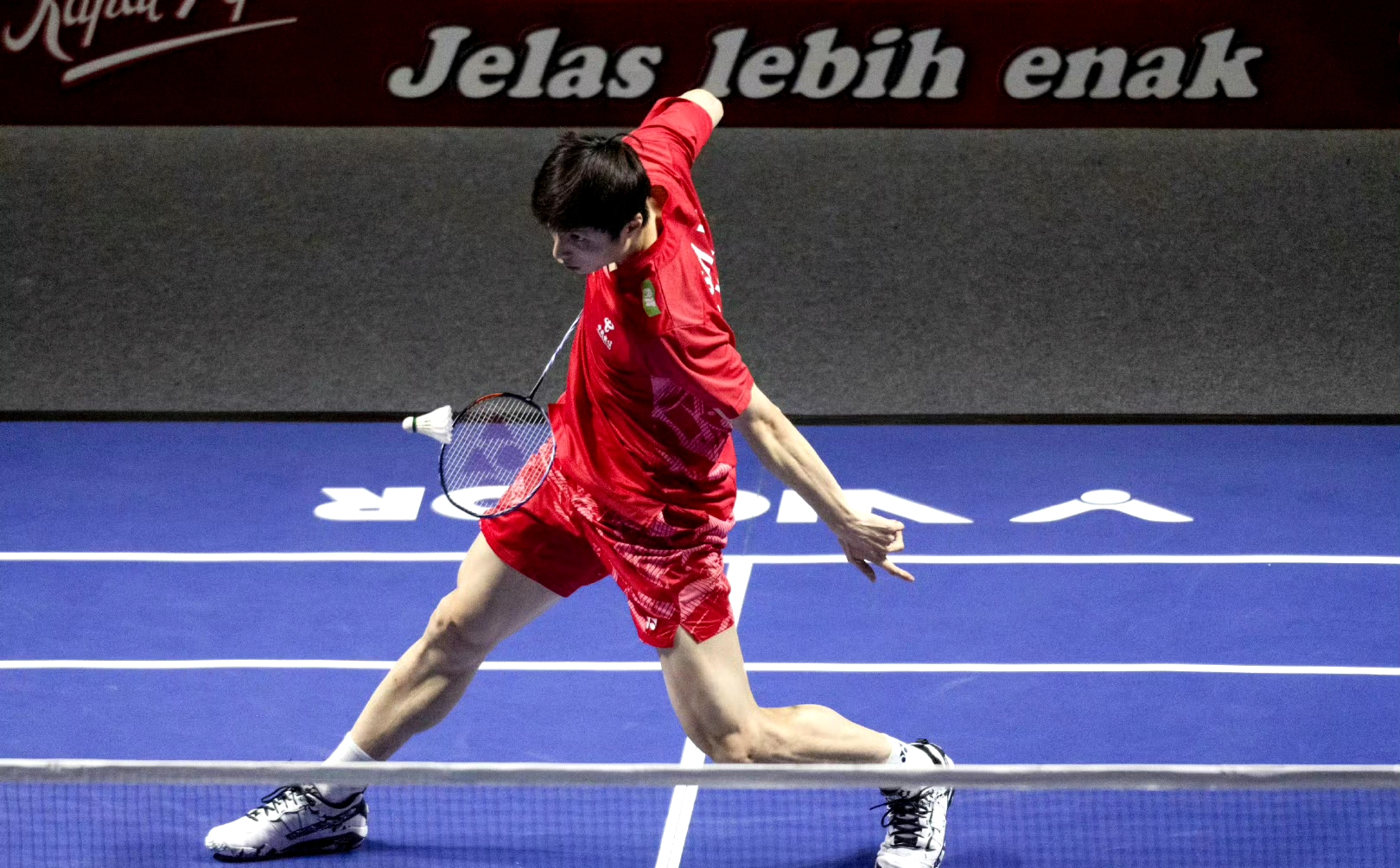 丹麦队绝杀德国队，石宇奇统治全场的简单介绍