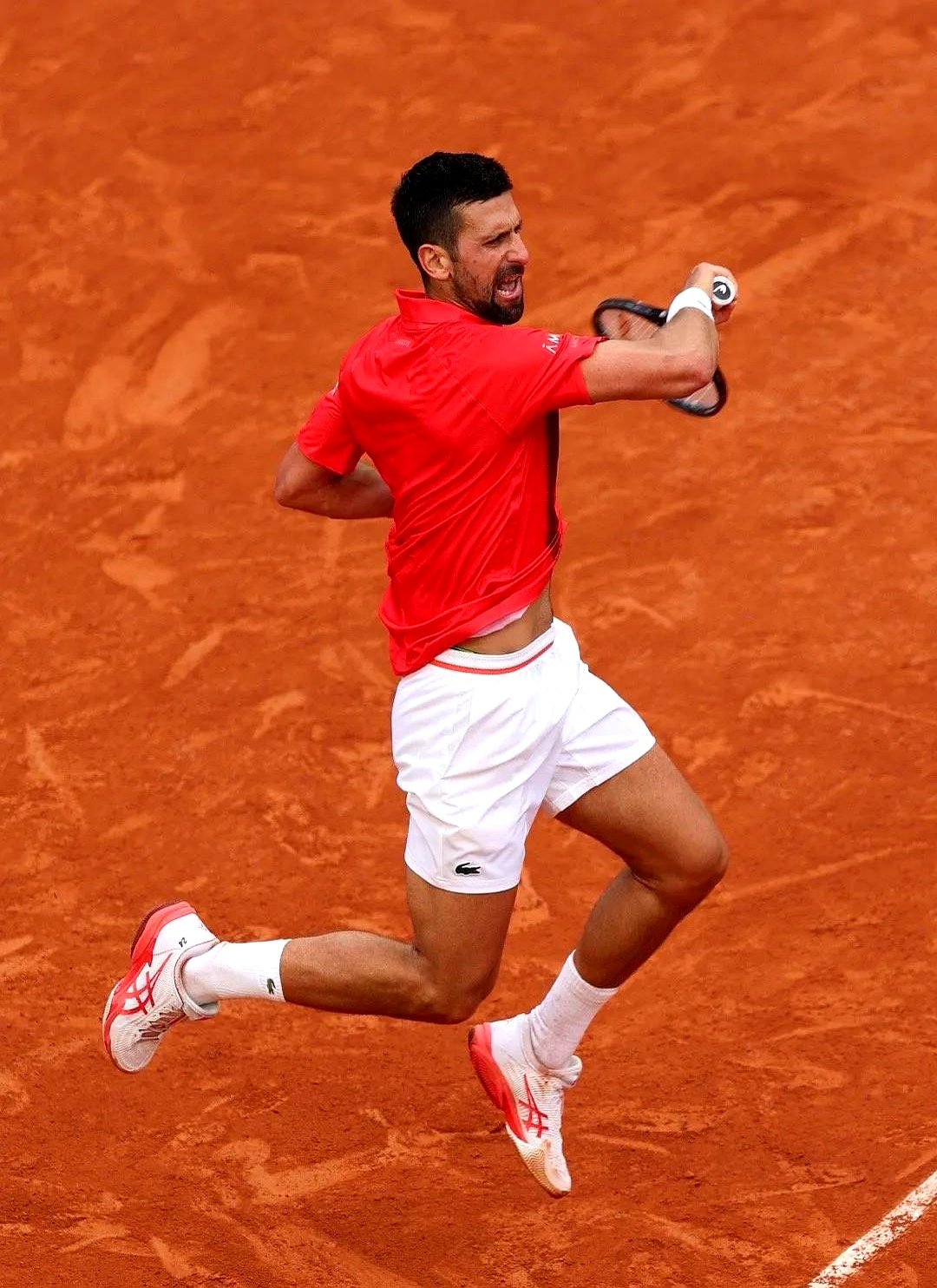 戴维斯杯横扫法网，德约科维奇高光表现的简单介绍