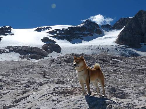 塞内加尔硬仗取胜西班牙，莱奥成为关键先生—非洲雄狮的战术革命与个人英雄主义