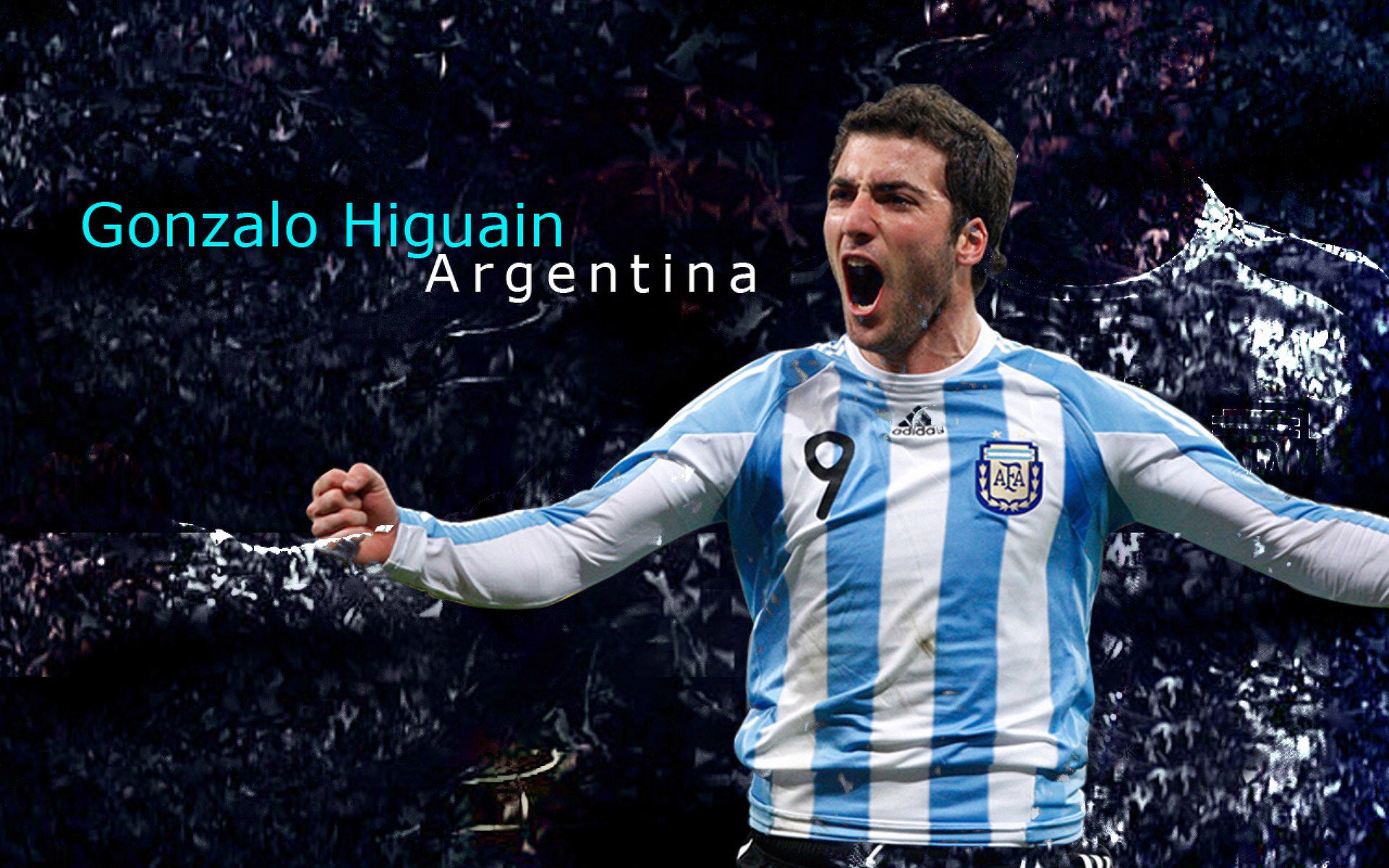 冰原与江畔的碰撞，当明尼苏达的狼嚎响彻浦江之岸